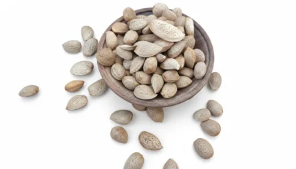 بادام سنگی درجه 1 مخلوط