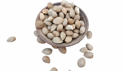 بادام درجه 1 تپل