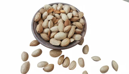 بادام سنگی ایرانی