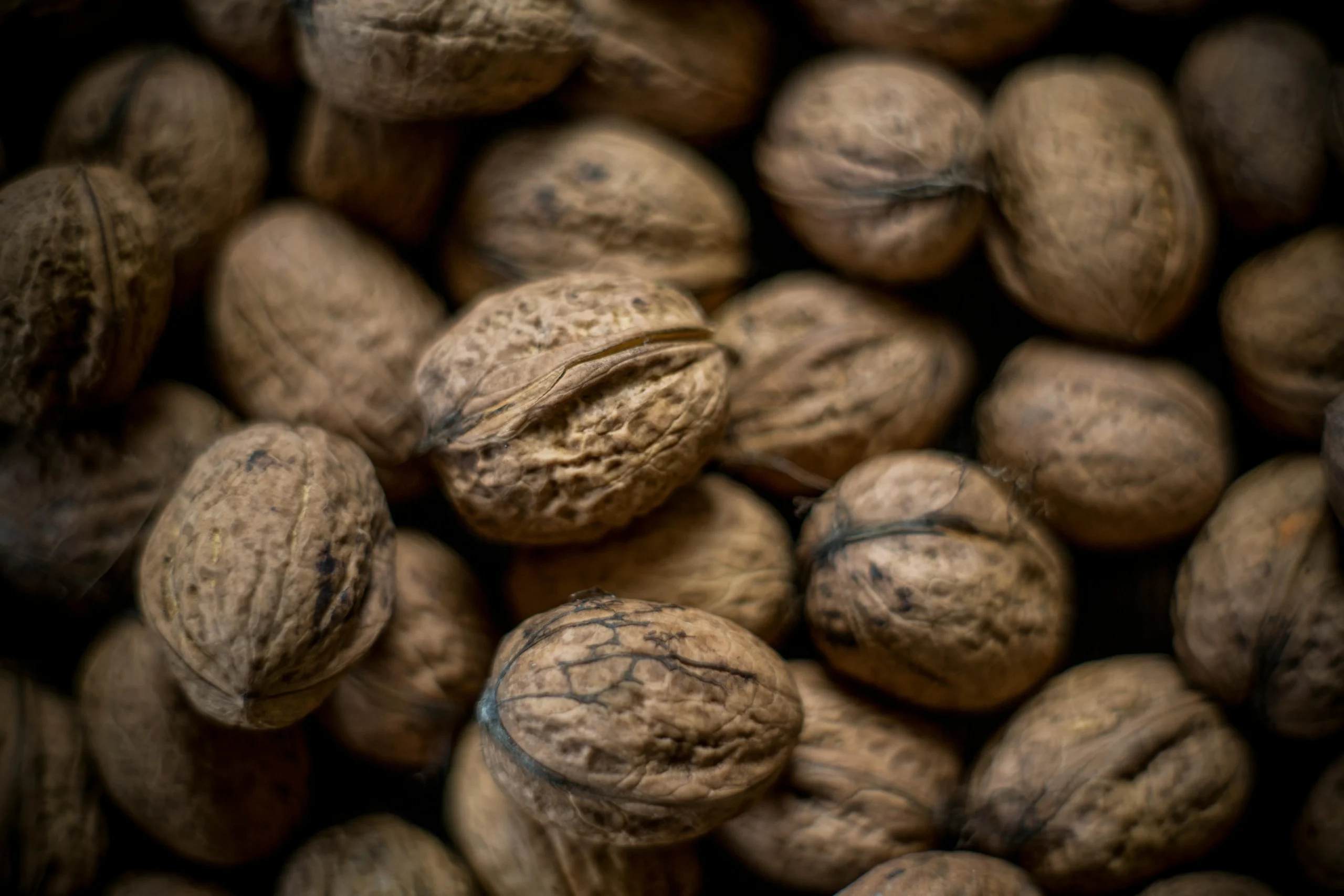 Types of walnuts in Iran and the world