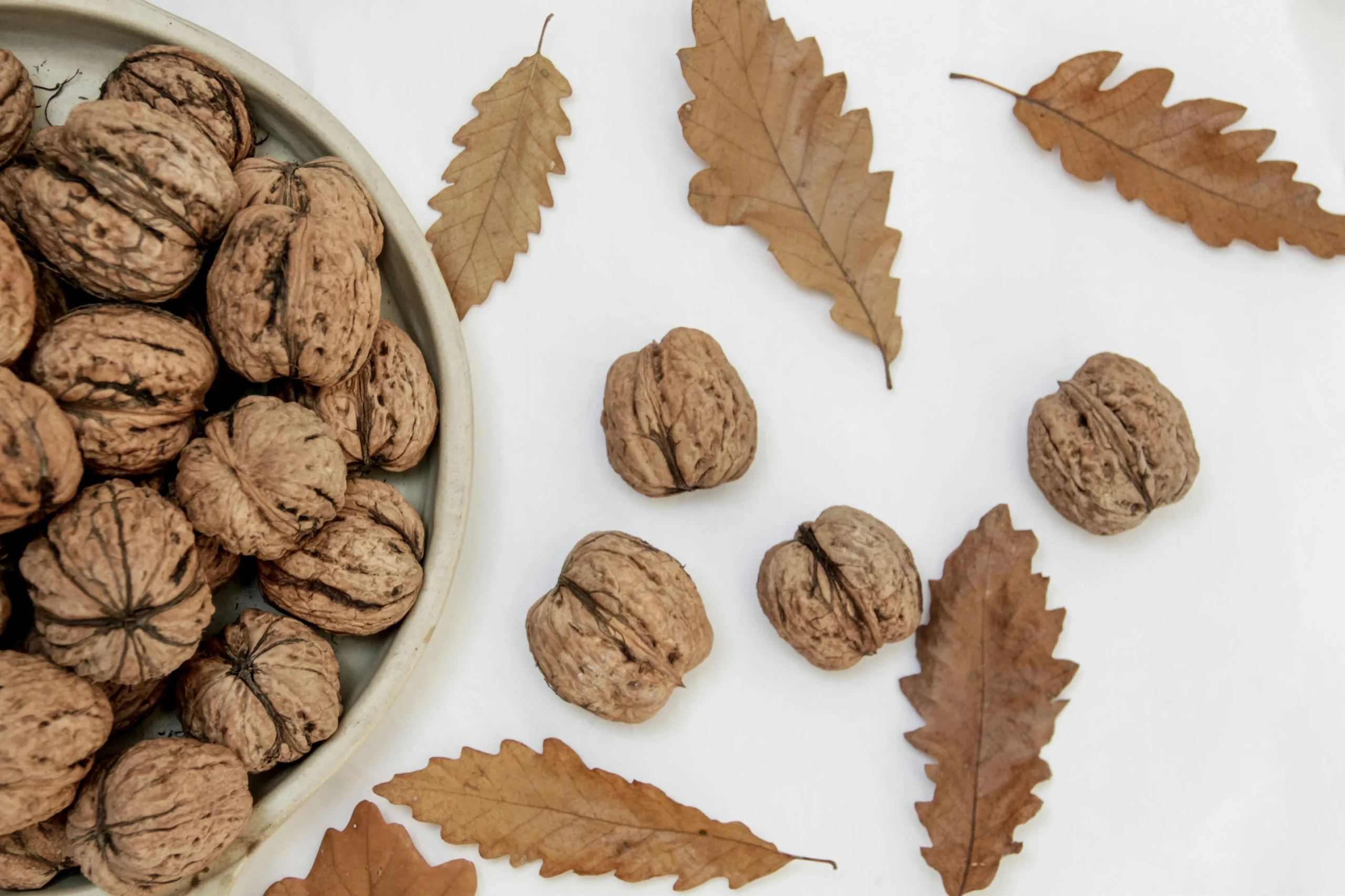 Types of Walnuts in Iran and the World | Characteristics, Properties and Best Varieties for Cultivation